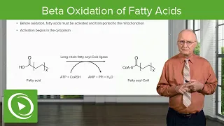 Download Beta Oxidation of Fatty Acids | Lipid Metabolism MP3