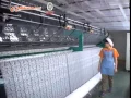 Bailong Lace on Alibaba