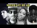 Download Lagu Never Let Me Go - CATOINMOTION - Ft.  Temeka Williams, Dean Aivaliotis, Ashley NepTUNE