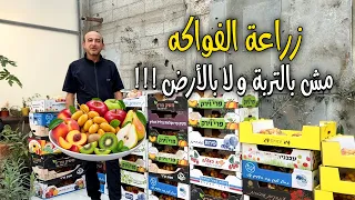 زراعة الفواكه مش بالتربة و لا بالأرض!!!