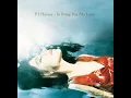 Down By The Water - PJ Harvey