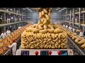 Inside the Coconut Worm Factory How Fatty Worms Are Turned Into Soft-Dried Snacks Full Process