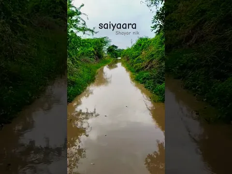 saiyaara #song #shortvideo
