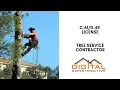 Tree Service License C--49 Contractor s Guide To The CSLB and California Contractor License