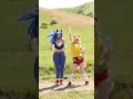 Download Lagu “I Gotta Feeling” dance trend - Sonic and Tails cosplay with @halcybella 💛🕺💙