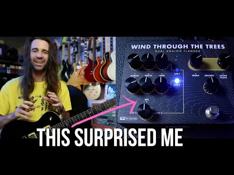 PRS Guitars Wind Through The Trees | Delicious Audio