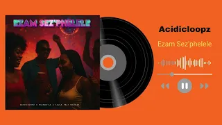 acidicloopz mindo sa salga solo sa ezam sez phelele official audio 