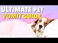 Ultimate Vomit Color Guide for Dogs Ultimate Pet Nutrition - Dog Health Tips
