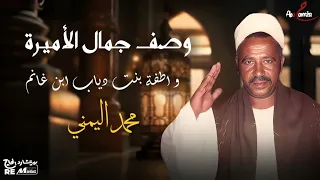 وصف الأميرة واطفة بنت دياب إبن غانم محمد اليمني دندنها