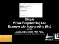 Virtual Programming Lab and Go Auto-Grading Example