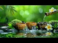 Relaxing Sleep Music Deep Sleeping Music Relaxing Music Stress Relief Meditation Music