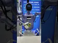 Download Lagu Robot Packs Groceries Like a Pro!