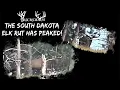 The South Dakota Elk Rut has PEAKED