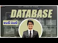 What is DataBase