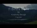 A Bird's Waltz by Kimberley Brough
