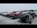 Visiting a New York U Pull it in The Snow