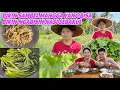 Download Lagu SAWI BESAR SIAP PANEN DAN LANGSUNG DI JEMUR UNTUK BIKIN SAWI ASIN,YUK LIHAT PROSES NYA