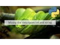 Mixing data types string and int in Python