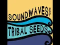 Tribal Seeds - In Your Eyes