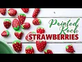 Download Lagu Strawberry Painted Rocks