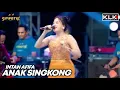 Download Lagu INTAN AFIFAH - ANAK SINGKONG - LIVE SIMPATIK MUSIC KLK AUDIO SAMBIREJO NGANTANG MALANG