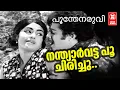 Lagu Nandhyarvatta Poo Chirichu | Poonthenaruvi | MK Arjunan | Sreekumaran Thampi | P Jayachandran
