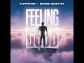 Hypaton & David Guetta - Feeling Good