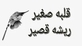 كان يا ما كان   تتر مسلسل سارة دندنها