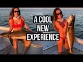 Searching for TUNA on Shrimp Boats Cobia Fishing
