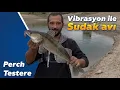 Download Lagu Vibrasyon ile Sudak avı yaptım / Keşan / Edirne / Saros Körfez'indeki avlarımıza ara verdik