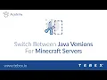 Tebex - Switch Between Java Versions For Minecraft Servers