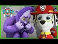 Marshall Saves a Humsquatch PAW Patrol Episode Cartoons for Kids