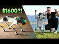 Download Lagu An Affordable Robot Dog?! | Unitree Go2 Air Review