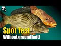 Download Lagu Russian Fishing 4 -  Bear Lake - No Feed! Spot Search, Bait Test, and Feed Test