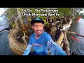 Download Lagu This Cool Spot Has No Anglers, Automatically Harvest Strike - Bali Fishing Mania