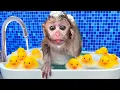 Download Lagu Baby Monkey Chu Chu Plays Water Park With Puppies And Eats Ice Cream So Yummy
