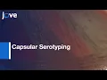 Capsular Serotyping of S pneumoniae by Latex Agglutination Protocol