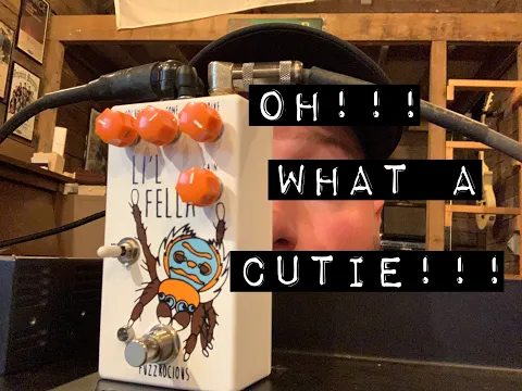Fuzzrocious Lil Fella Overdrive/Distortion | Delicious Audio
