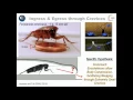 Response Bio-inspired Robotics - Prof Robert Full