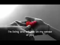 Tamer Ahour2011-Mabthazesh-(with English Subtitles)