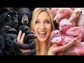 I Adopted Black vs Pink Animals