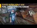 Download Lagu Review Sejarah Kandang Domba Garut Seni Para Juara | PDP PUTRA KARANG