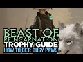 Beast of Reincarnation - Busy Paws Trophy Guide Road to Platinum