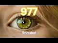 7 Reasons Why You Keep Seeing 977 Angel Number 977 Meaning Explained