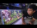 Download Lagu AQUASCAPE SULTAN DIMAS ZAENAL SUDAH JADI ! - SEGINI KIRA KIRA HABISNYA 🤑🔥✅☠️⛈️