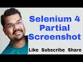 How To Take Partial Screenshot in Selenium Selenium 4 Features