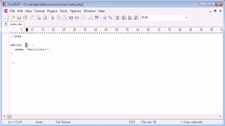 6 Month Project Training PHP Tutorial 25 while Loop