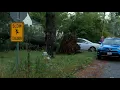 Local headlines from NEWS CENTER Maine at 6 30 p m