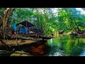 Download Lagu Camp Fishing || Menjelajah Hutan Kalimantan Yang Jarang Di Jamah Manusia dan Memancing Ikan