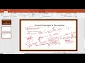 1 Python Loops Theory RegularPython Regular Python Telugu Language